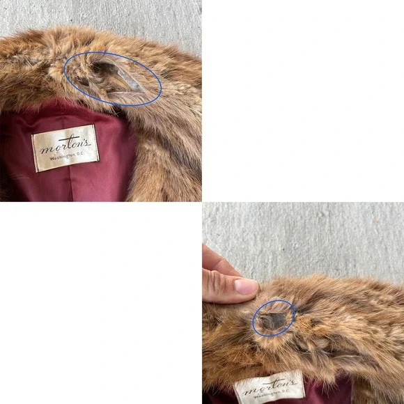 1940s‎ Mortons Washington DC Vintage Mink Fur Capelet Jacket Collar Brown - Picture 5 of 6